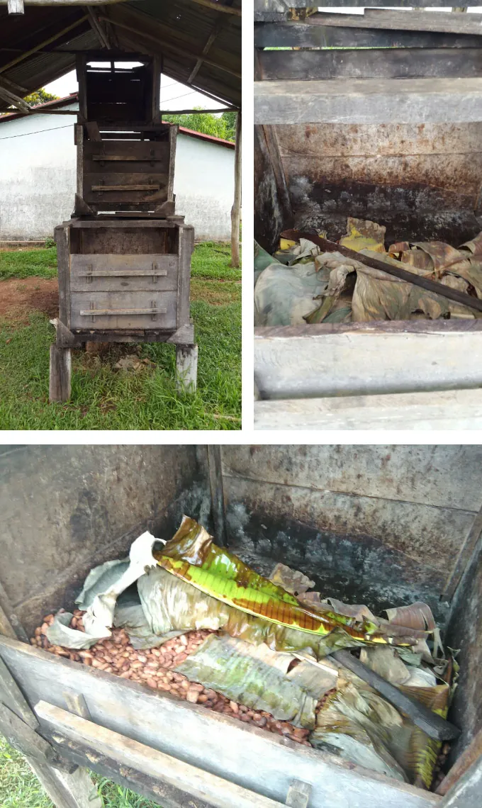 protocolo de fermentacion