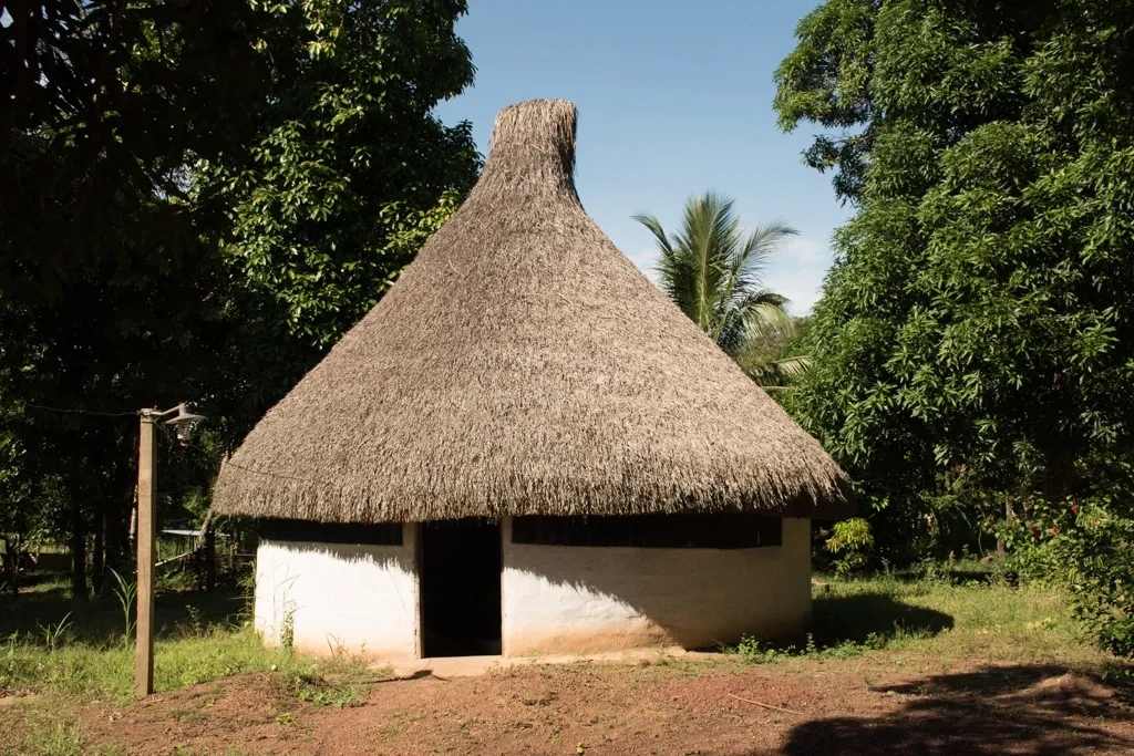 historia de Manapiare