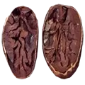 semilla trincheras